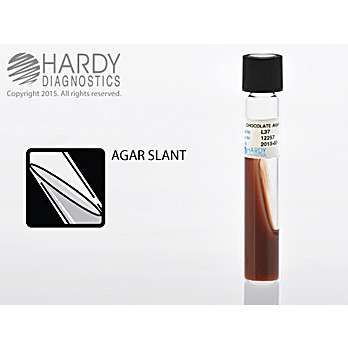 Chocolate Agar Slant