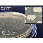 Tryptic Soy Agar (TSA) Plates with Lecithin and Tween® 80, USP
