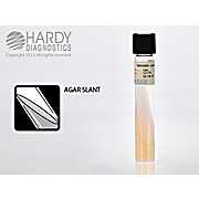 Tryptic Soy Agar (TSA) Slant