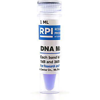 DNA Markers (High Range) 1 kb Ladder