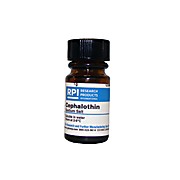 Cephalothin