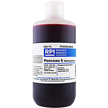 Ponceau S Staining Solution