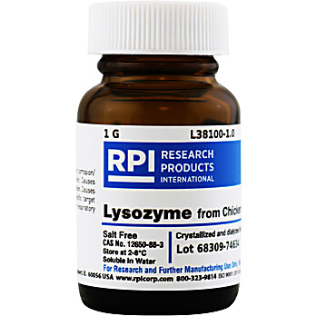 Lysozyme
