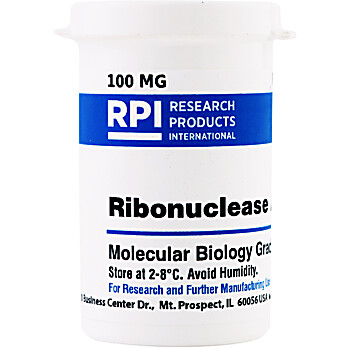 Ribonuclease A