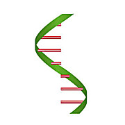 ExtractNow™ RNA Mini Kits