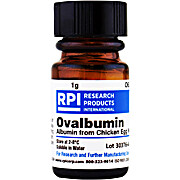 Ovalbumin