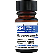 Macerozyme R-10