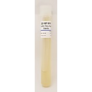 Tryptic Soy Agar