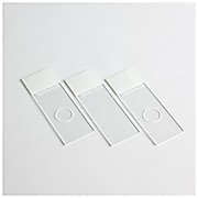 Shandon™ Single Cytoslides™