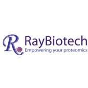 Human Mesothelin ELISA