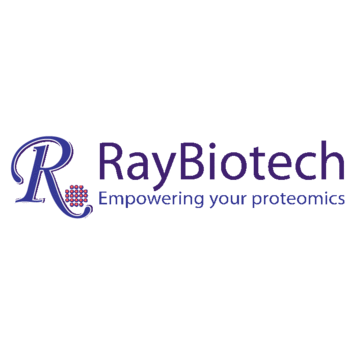 Human Mesothelin ELISA