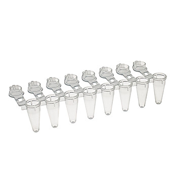 0.1ml PCR Rigid Strips