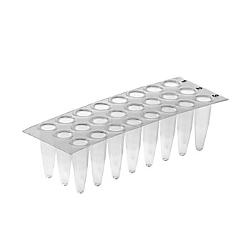 ThermoGrid™ PCR Plates, 24 well pcr plate* without skirt, pkg. of 50