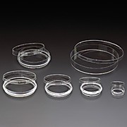 Tissue Culture Treated Dishes, 150mm x 20mm, Sterile