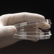 Tissue Culture Treated Dishes w/Grip Ring, 100mm x 20mm, Sterile