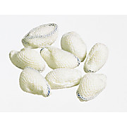 Nutramax Dissecting Sponges