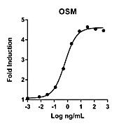 Humankine™ Recombinant Human OSM