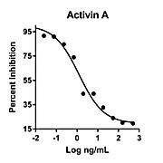 Humankine™ Recombinant Human Activin A
