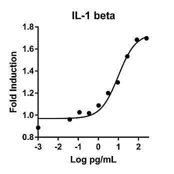 Humankine™ Recombinant Human IL-1 beta