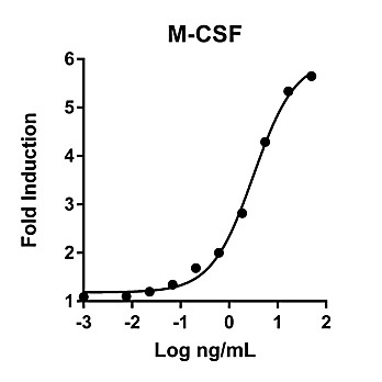 Humankine™ Recombinant Human M-CSF