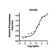 Humankine™ Recombinant Human Wnt3A