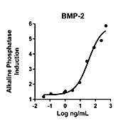 Humankine™ Recombinant Human BMP-2