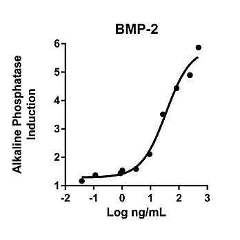 Humankine™ Recombinant Human BMP-2