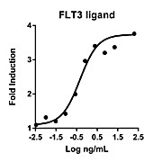Humankine™ Recombinant Human FLT3 Ligand