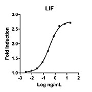Humankine™ Recombinant Human LIF
