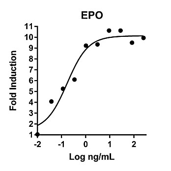 Humankine™ Recombinant Human EPO