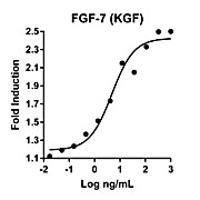 Humankine™ Recombinant Human FGF-7 (KGF)