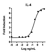 Humankine™ Recombinant Human IL-4