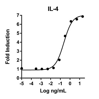 Humankine™ Recombinant Human IL-4