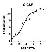 Humankine™ Recombinant Human G-CSF