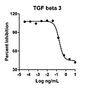 Humankine™ Recombinant Human TGF beta 3