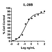 Humankine™ Recombinant Human IL-28B