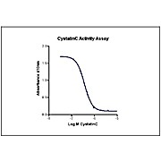 Humankine™ Recombinant Human Cystatin C