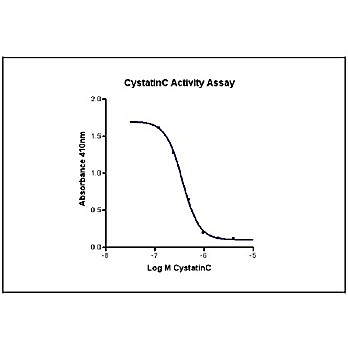 Humankine™ Recombinant Human Cystatin C