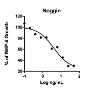 Humankine™ Recombinant Human Noggin