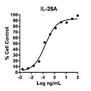 Humankine™ Recombinant Human IL-28A