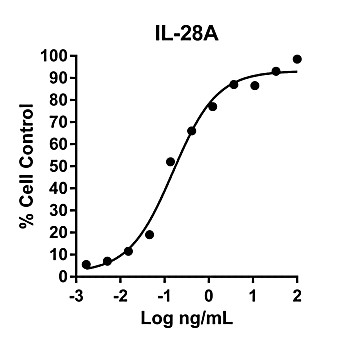 Humankine™ Recombinant Human IL-28A