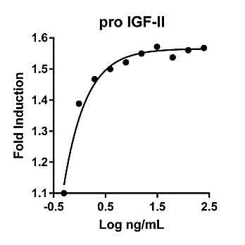 Humankine™ Recombinant Human proIGF-II
