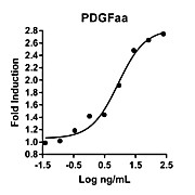 Humankine™ Recombinant Human PDGFaa
