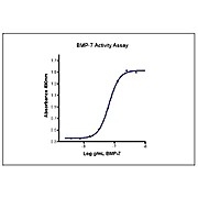 Humankine™ Recombinant Human BMP-7