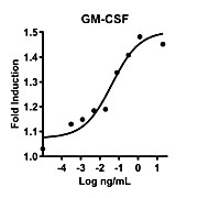 Humankine™ Recombinant Human GM-CSF