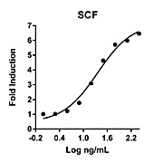 Humankine™ Recombinant Human SCF