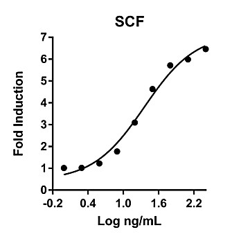 Humankine™ Recombinant Human SCF