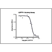 Humankine™ Recombinant Human LEFTY-1