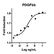 Humankine™ Recombinant Human PDGFbb