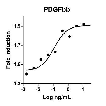 Humankine™ Recombinant Human PDGFbb